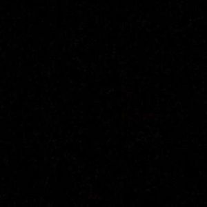 Meet your Posher, Ronnie